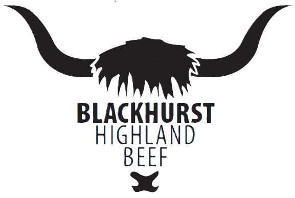 Logo without background
